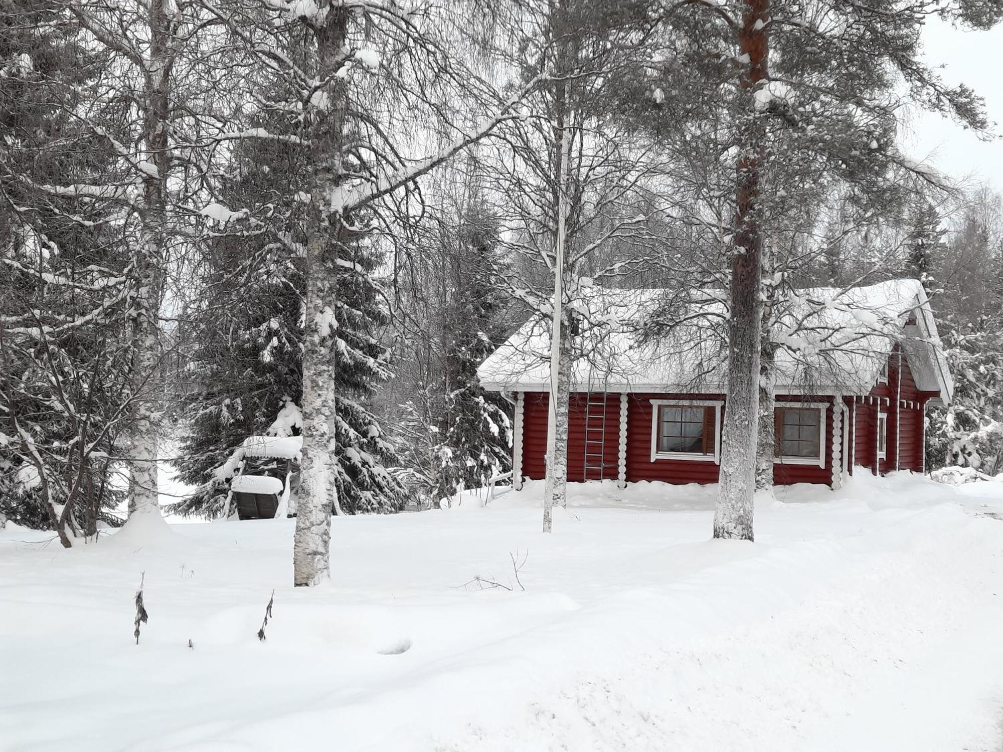 Lapin Villa Hiisi Joen Rannalla Ranua Exterior foto